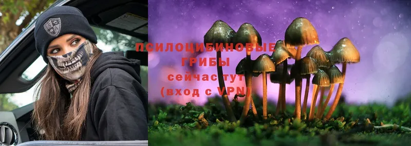 Псилоцибиновые грибы MAGIC MUSHROOMS  купить   Кукмор 